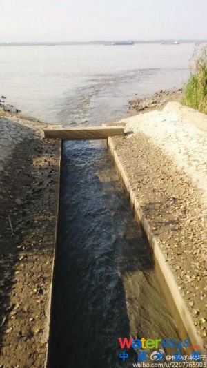 魚(yú)嘴濕地公園污水直排長(zhǎng)江?環(huán)保部門:泵站放水沖污泥